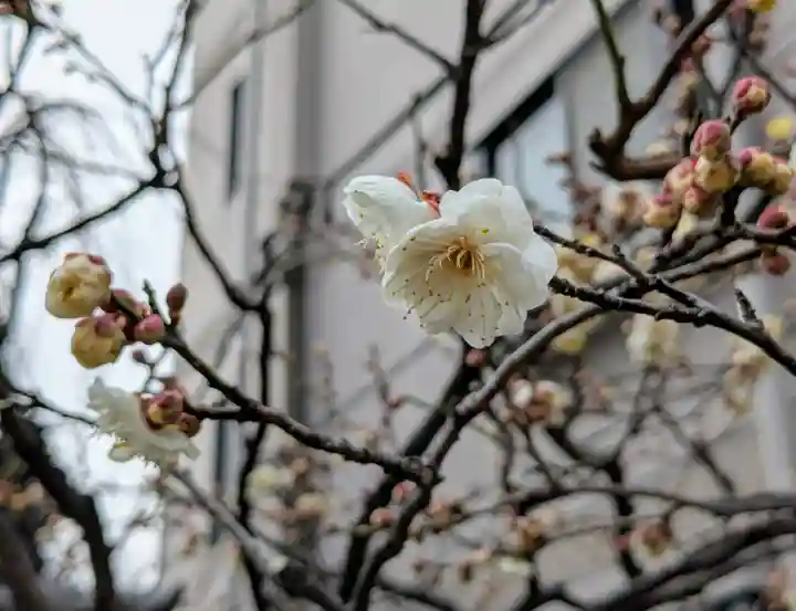 法輪寺(東京都)