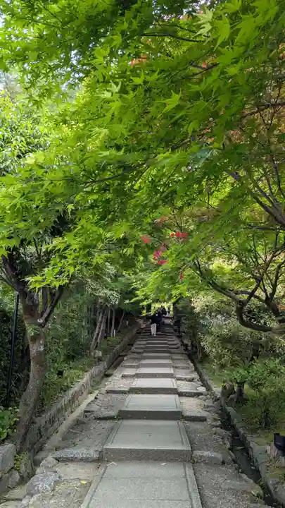 高台寺(高台寿聖禅寺・高臺寺)(京都府)