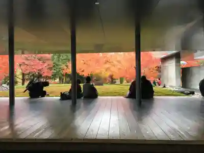 平等院の本殿・本堂