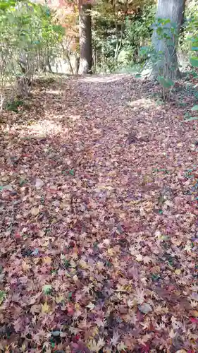 石都々古和気神社の自然