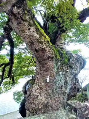 與止日女神社(佐賀県)