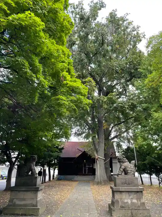 中の島神社(北海道)