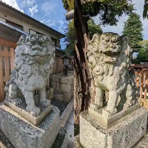 岩槻久伊豆神社の狛犬