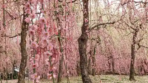 城南宮(京都府)