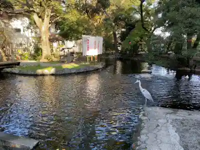 平塚八幡宮(神奈川県)