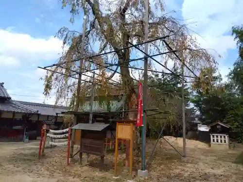 斎神社(滋賀県)