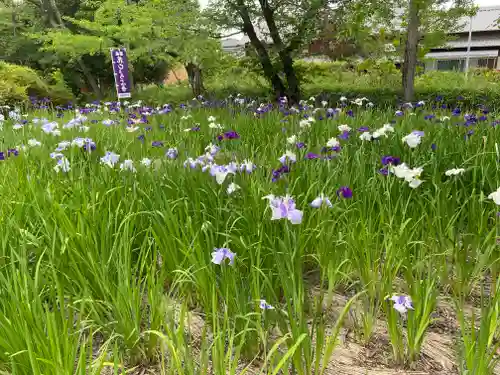 應仁寺(愛知県)
