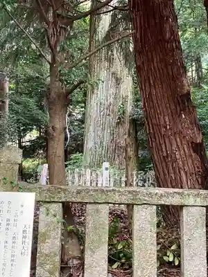 天鷹神社(岐阜県)