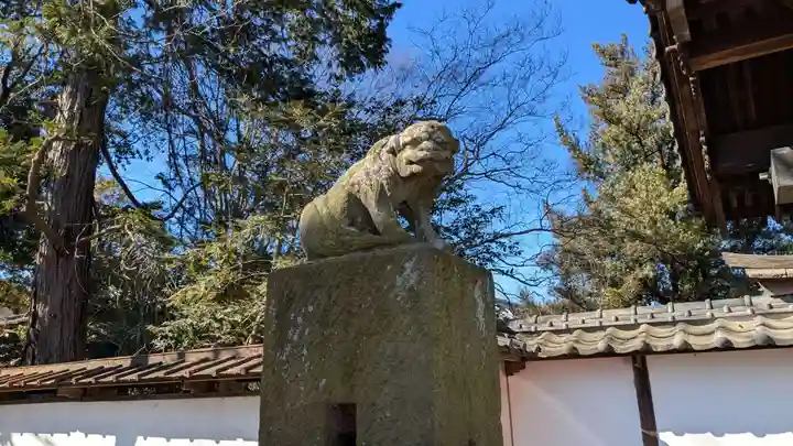 歓喜院本坊の狛犬