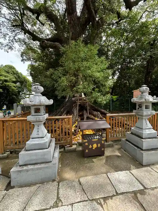 和泉國一之宮 大鳥大社(大阪府)