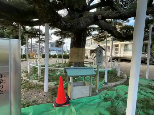 日保見山八幡宮の{uncategorized: "未分類", other: "その他", undefined: "問題あり", building: "その他建物", grave: "お墓", sacred_gate: "鳥居", guardian: "狛犬", statue: "像", buddha: "仏像", history: "歴史", nature: "自然", garden: "庭園", animal: "動物", pagoda: "塔", temizu: "手水舎", mountain_gate: "山門・神門", sanctuary: "本殿・本堂", subordinate: "末社・摂社", art: "芸術", scenery: "景色", jizo: "地蔵", ema: "絵馬", goshuin: "御朱印", omikuji: "おみくじ", items: "授与品その他", amulet: "お守り", goshuincho: "御朱印帳", eats: "食事", festival: "お祭り", votive_dance: "神楽", shichigosan: "七五三参", wedding: "結婚式", experience: "体験その他", initially: "初詣", around: "周辺", anti_infection: "感染症対策"}