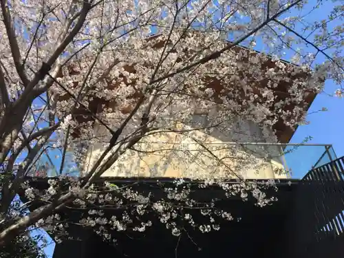 赤城神社の自然