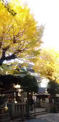 小野照崎神社のその他建物