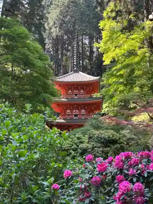 岩船寺(京都府)