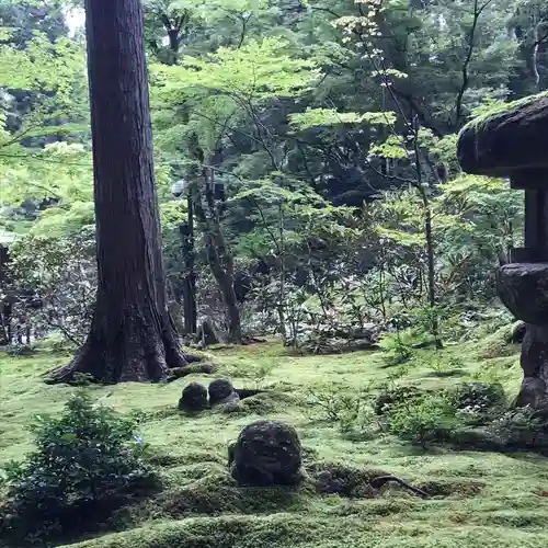 三千院門跡の庭園