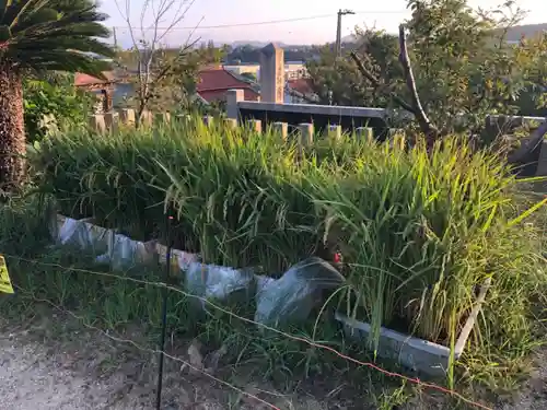 賀茂神社の周辺