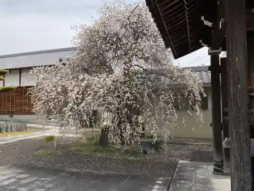 慈眼寺(愛知県)
