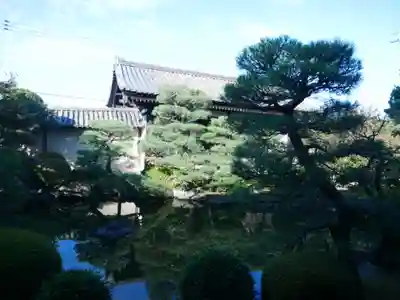 東寺（教王護国寺）(京都府)
