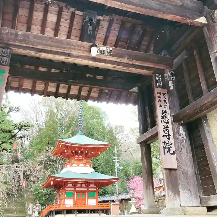 慈尊院の山門・神門