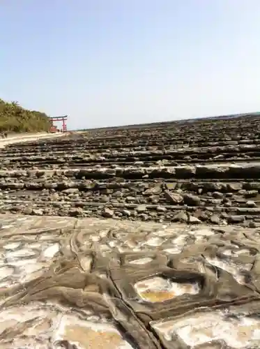 青島神社（青島神宮）の自然