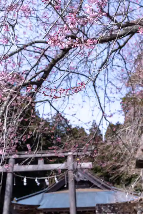 村山浅間神社(静岡県)