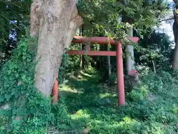 権現神社(千葉県)