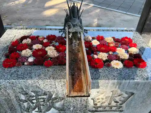 川越八幡宮(埼玉県)