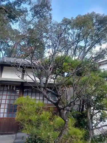 刺田比古神社(和歌山県)