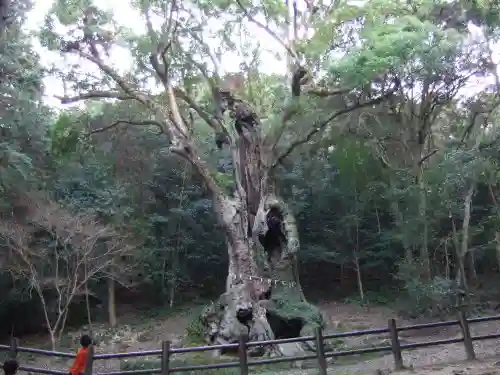 武雄神社(佐賀県)