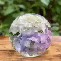 般若寺 ❁コスモス寺❁(奈良県)