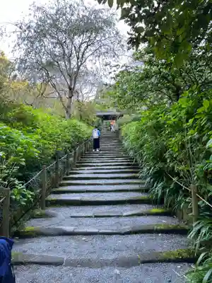 明月院(神奈川県)