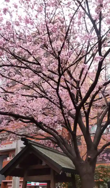蔵前神社(東京都)