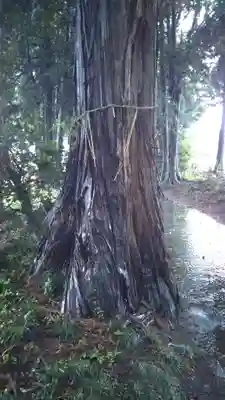 鹿島神社のその他建物