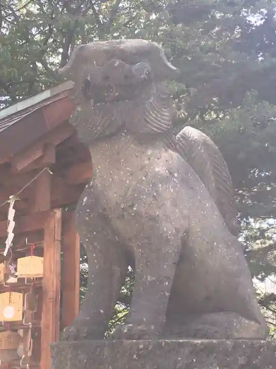 白石神社の狛犬