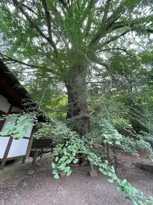 来迎院(奈良県)