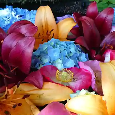 伊豆山神社 里宮の手水舎