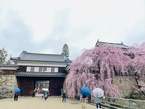 眞田神社(長野県)