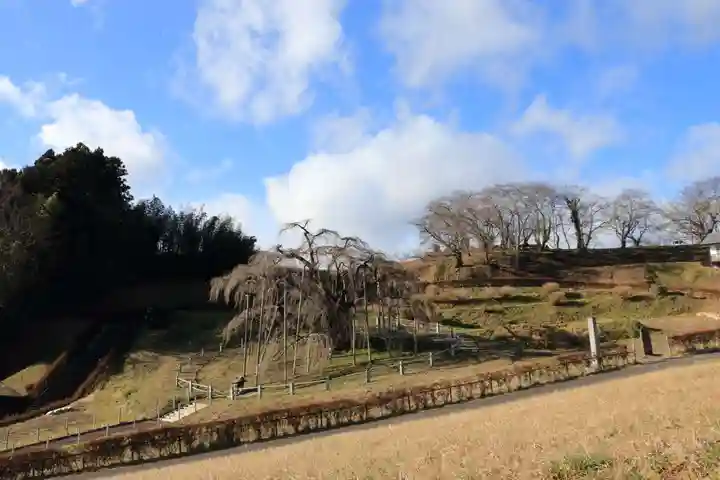 瀧桜神明宮の自然