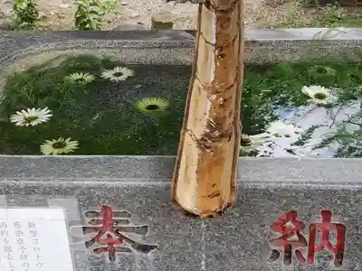 有鹿神社の手水舎