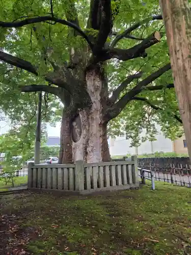 神明宮(石川県)