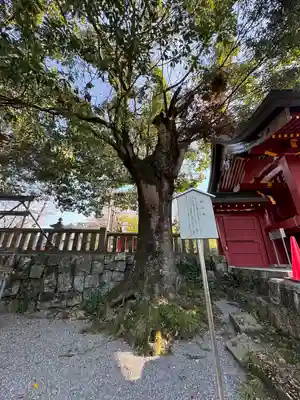 一之宮貫前神社(群馬県)