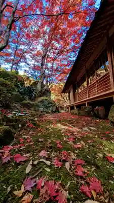 教林坊(滋賀県)