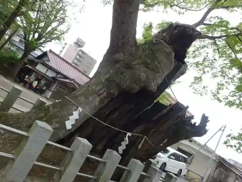 阿邪訶根神社の自然