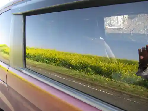 真光寺(千葉県)