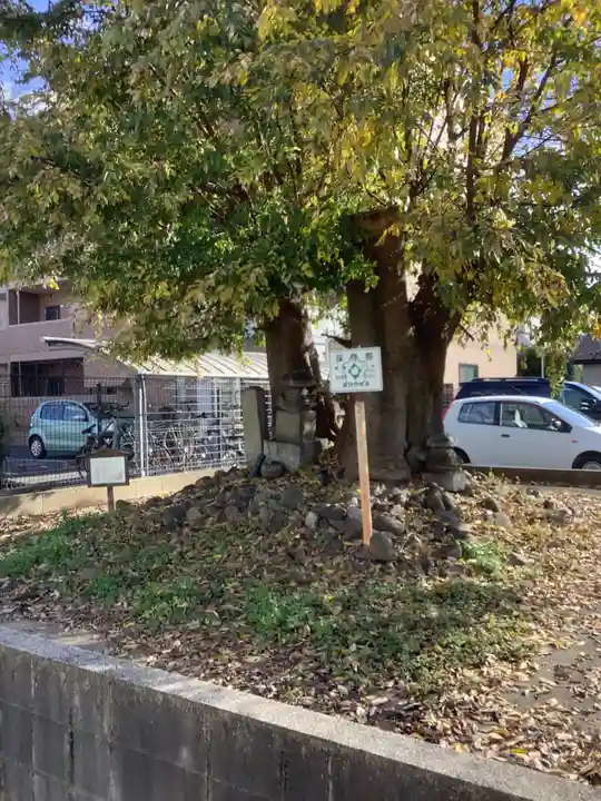 供養塔のその他建物