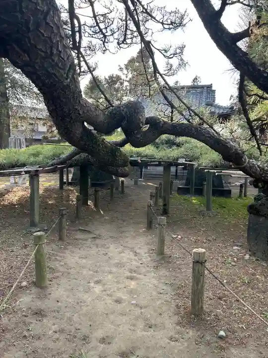 菅原神社(群馬県)