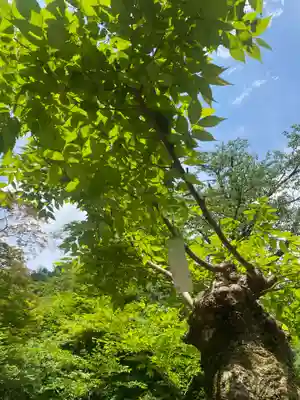 徳善院明王密寺(福島県)