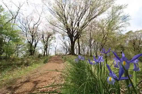 浅間神社(神奈川県)