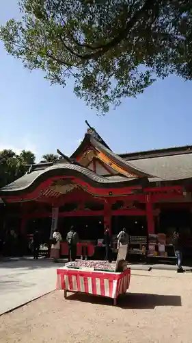 青島神社（青島神宮）の本殿・本堂