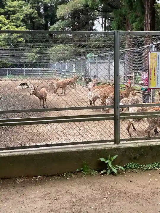 鹿島神宮(茨城県)